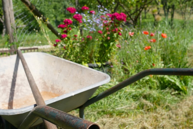 Schubkarre und Harke im Garten