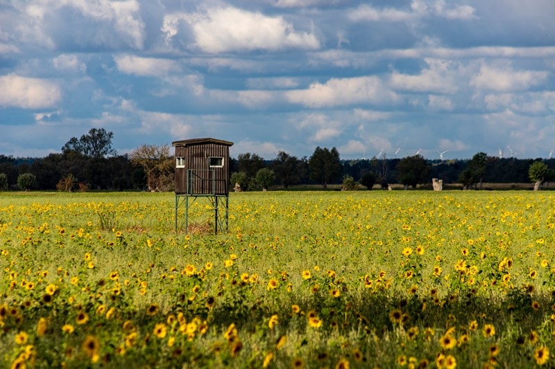 Hochsitz auf einem Feld